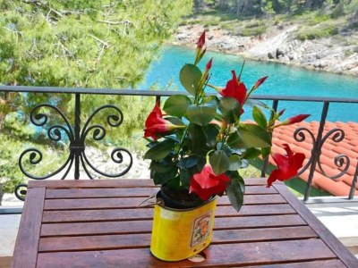 Apartment Name		 Bay House Rosohotnica - One Bedroom Apartment in Hvar - Apartment