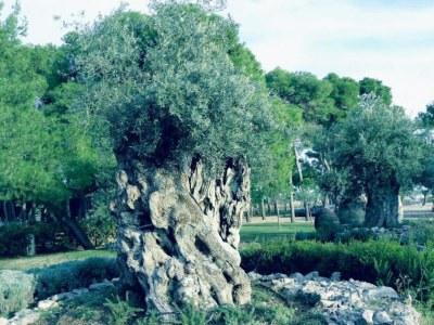 Apartment One Bedroom Apartment (A2) - Outdoor photo 6