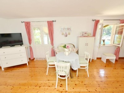 Apartment Bay House Rosohotnica - One Bedroom Apartment - Features photo 6