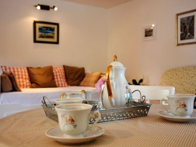 Apartment Bay House Rosohotnica - One Bedroom Apartment - Features photo 16