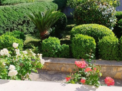 Apartment One-Bedroom Apartment With Terrace And Sea View (A1) - Outdoor photo 14