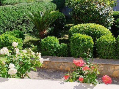 Apartment One-Bedroom Apartment With Terrace (A2) - Outdoor photo 15