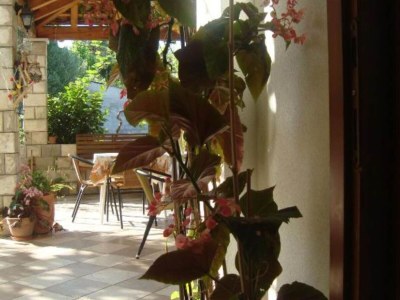 Apartment Apartment Gabrijela - One Bedroom Apartment with Sea View - Outdoor photo 13