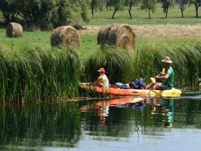 Apartment Apartments Jezerane - Studio Apartment - Outdoor photo 13