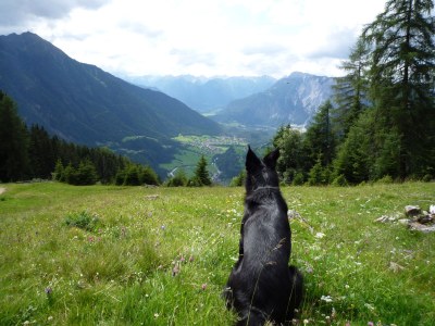 Holiday house Holiday home "Am Platzl" - Environment photo 20