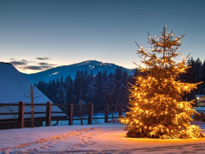 Holiday apartment Stoffnerhof - Outdoor photo 4