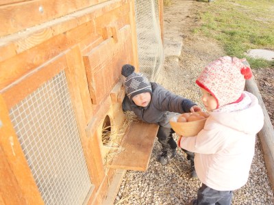 Holiday apartment Stoffnerhof - Outdoor photo 8