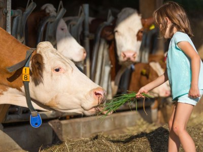 Holiday apartment Stoffnerhof - Environment photo 19