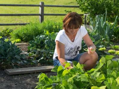 Holiday apartment Stoffnerhof - Environment photo 20