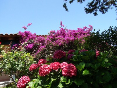 Holiday house Cantu di Mare 3 - Outdoor photo 12