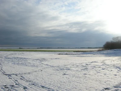 Holiday house De Witte Hoek Texel - Environment photo 19