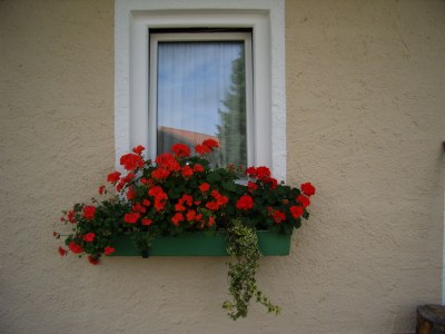 Holiday house Bettis Bungalow - Features photo 19