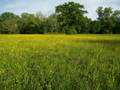 Holiday house Bettis Bungalow - Environment photo 27