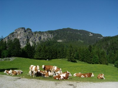 Holiday house Bettis Bungalow - Environment photo 30