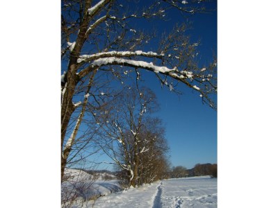 Holiday house Bettis Bungalow - Environment photo 37