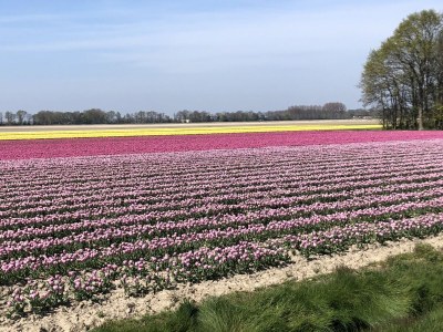 Bungalow Aquaronde 98 - Environment photo 34