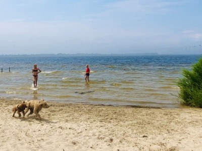 Bungalow Aquaronde 129 - Environment photo 26
