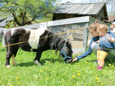 Holiday apartment Apartement Zander - Environment photo 24