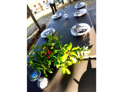 Farmhouse Gruppenhaus Acquaviva - Outdoor photo 10