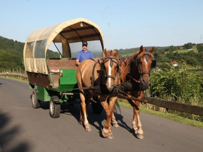 Holiday park Bungalow am Stausee in der Eifel - Outdoor photo 18