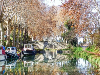 Holiday park Cap d’Agde Bungalow Retreat - Environment photo 16