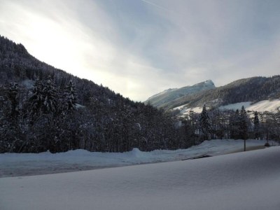 Holiday park Apartment in Sorlin d'Arves by Ski Runs - Environment photo 21