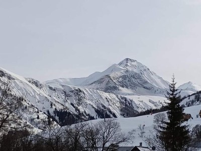 Holiday park Apartment in Sorlin d'Arves by Ski Runs - Environment photo 37