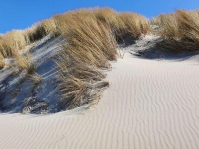 Holiday park Villa by Lake Veere with Stunning Water Views - Environment photo 28