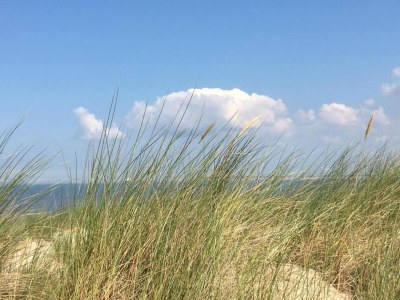 Holiday park Villa by Lake Veere with Stunning Water Views - Environment photo 29