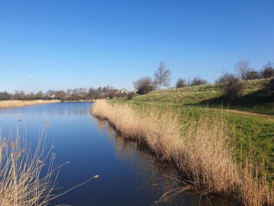 Holiday park Villa by Lake Veere with Stunning Water Views - Environment photo 30