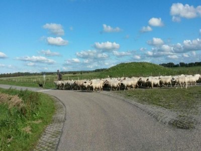 Holiday park Wasservilla in Zeeland am Veerse Meer - Environment photo 17