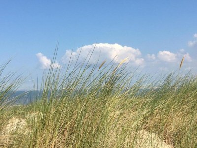 Holiday park Wasservilla in Zeeland am Veerse Meer - Environment photo 19