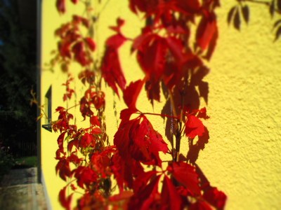 Holiday apartment Gutsweg Eins - Ferienwohnung 2 - Outdoor photo 3