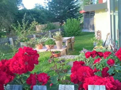 Holiday apartment Gutsweg Eins - Ferienwohnung 2 - Outdoor photo 11