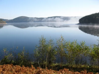 Holiday apartment Gutsweg Eins - Ferienwohnung 2 - Environment photo 22