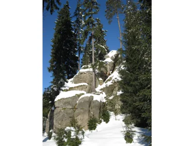 Holiday apartment Gutsweg Eins - Ferienwohnung 2 - Environment photo 24