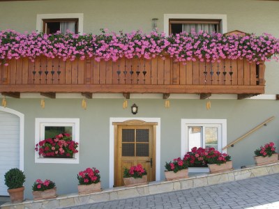 Holiday apartment Stork's Nest Apartment - Swallow's Farm - Outdoor photo 3