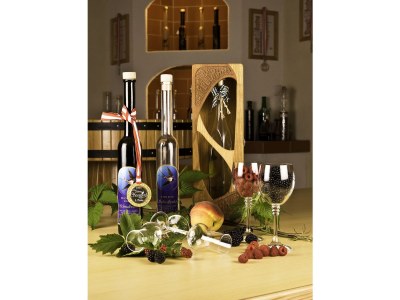 Holiday apartment Stork's Nest Apartment - Swallow's Farm - Environment photo 16