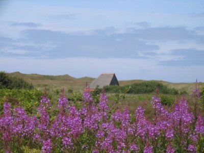 Holiday house Stappeland - Environment photo 21