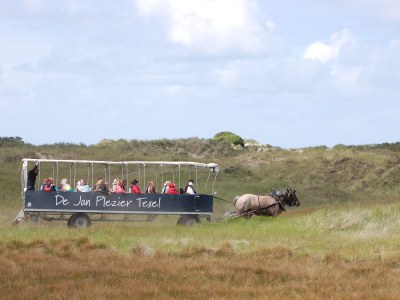 Holiday house Stappeland - Environment photo 22