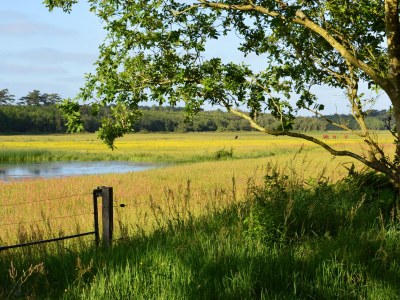 Holiday house Stappeland - Environment photo 25