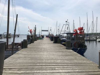 Holiday house Meerzeit - Environment photo 25