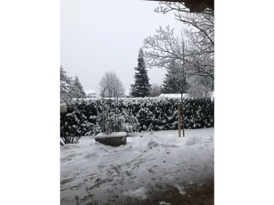 Holiday apartment Am Eichenberg - Features photo 16