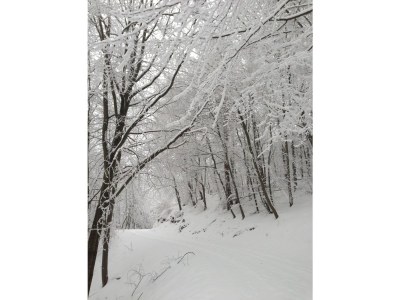 Holiday apartment Am Eichenberg - Environment photo 18