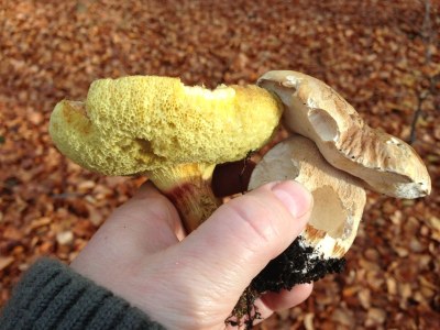 Holiday apartment Am Eichenberg - Environment photo 20