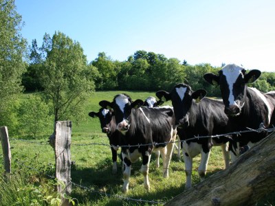 Holiday house Mielke - Environment photo 28