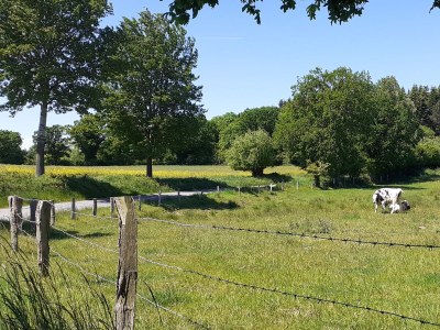 Holiday house Mielke - Environment photo 34