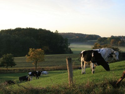 Holiday house Mielke - Environment photo 37