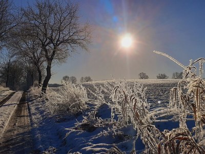 Holiday house Mielke - Environment photo 39