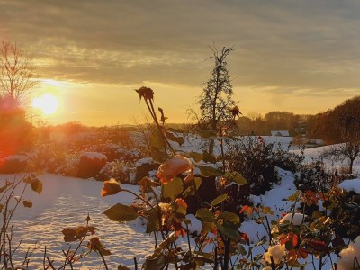 Holiday house Mielke - Environment photo 40